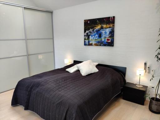 Vaerelser I Midtbyen - 117 M2 Apartment Χέρνινγκ Εξωτερικό φωτογραφία